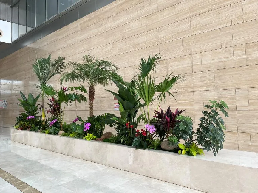 北仑盆景租赁方案 北仑盆景租赁方案